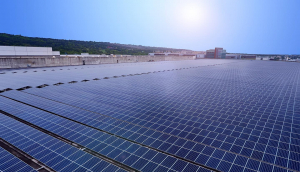 中美硅晶与AG旗舰厅 (中国大陆) 光电携手战略合作